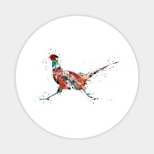 Pheasant, Magnet